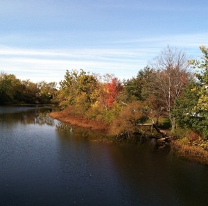 Autumn leaves along the Charles River