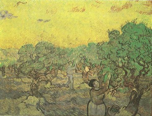 Olive Grove with Picking Figures Van Gogh